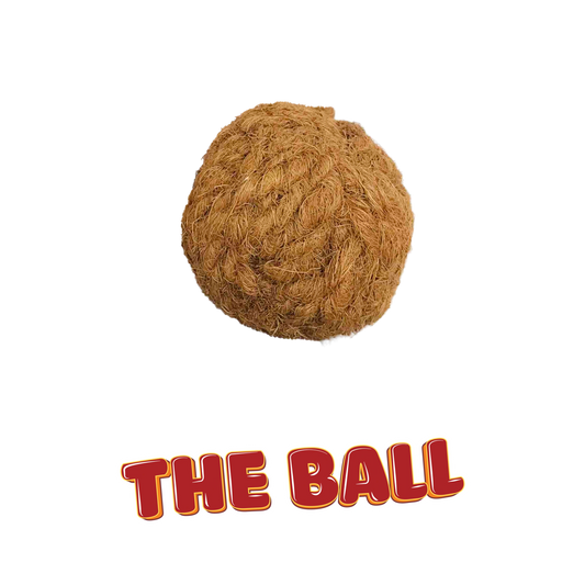 Nutties The Ball coconut fiber dog toy