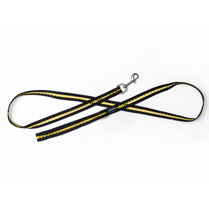 Netted 3/4 Leash