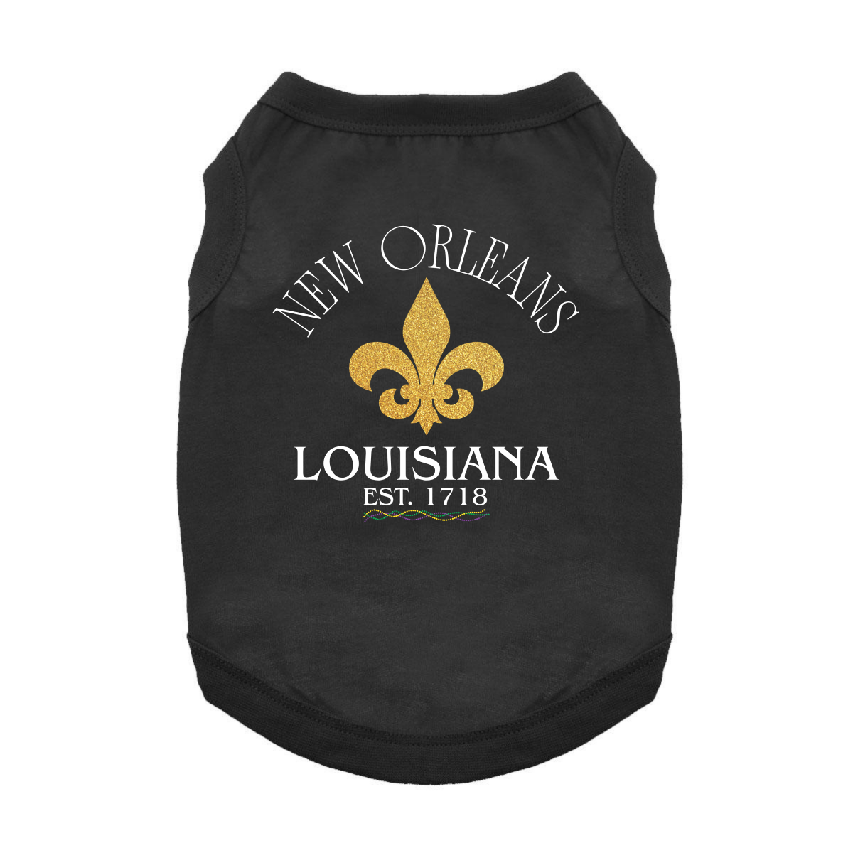 Destination T-Shirt - New Orleans, LA