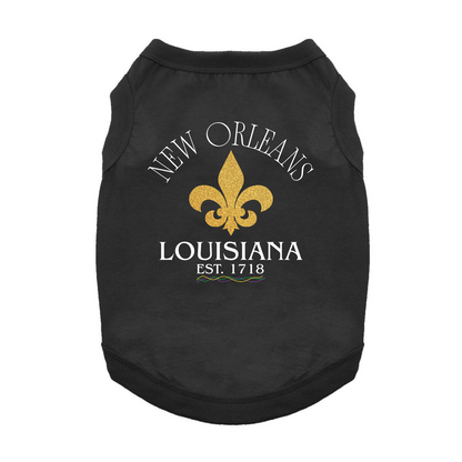 Destination T-Shirt - New Orleans, LA