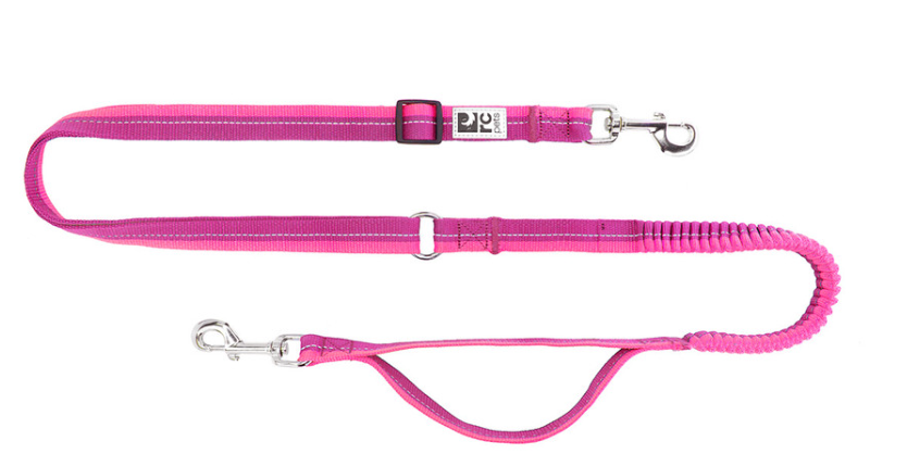 Bungee Active Leash