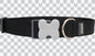 Buckle Bone Dog Collars - Classic (Solid)