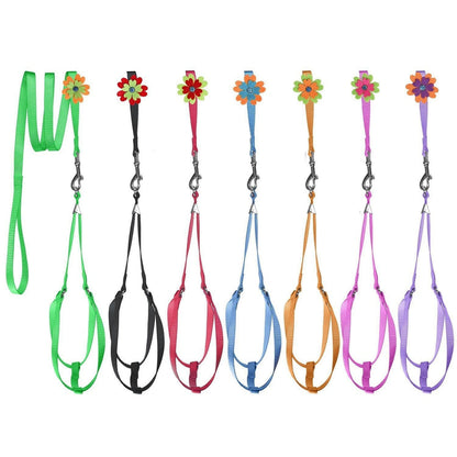 Step-In Nylon Dog Harness + Optional Flower Leash
