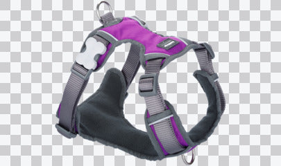 Padded Dog Harnesses