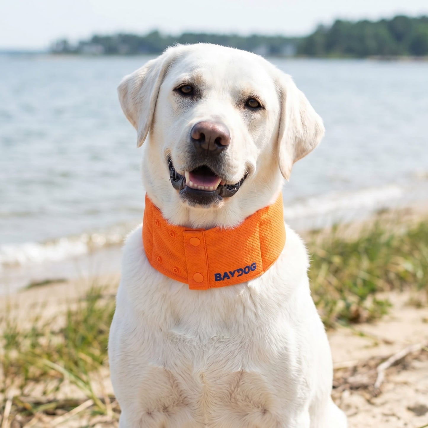 Arctic Bay Cooling Collar