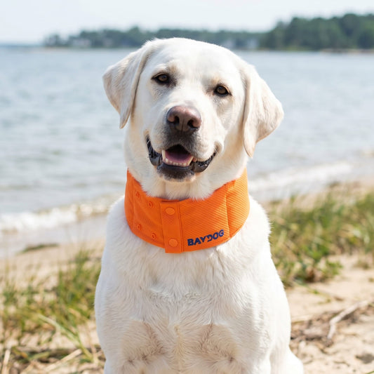 Arctic Bay Cooling Collar