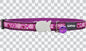 Cat Collars - Design - Breezy Love