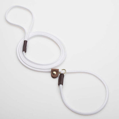 Slip w/Tab Show Leads/Leashes