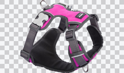 Padded Dog Harnesses