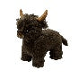 Highland Cow