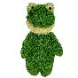 Floppy Frog