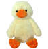Promo Duck