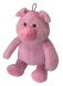 Promo Pig