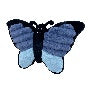 Farm Friends-Butterfly
