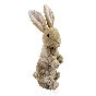 Trapped Bunny