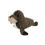 Groovys Walrus