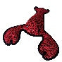 Farmhouse-Lobster