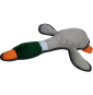 Bite Me-Mallard Duck