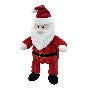 Christmas Santa