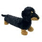Dachshund