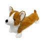 Corgi