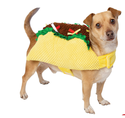 Taco