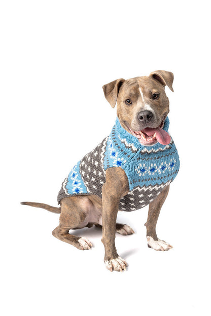 Dog wearing a Chilly Dog Light Blue Fairisle knit sweater