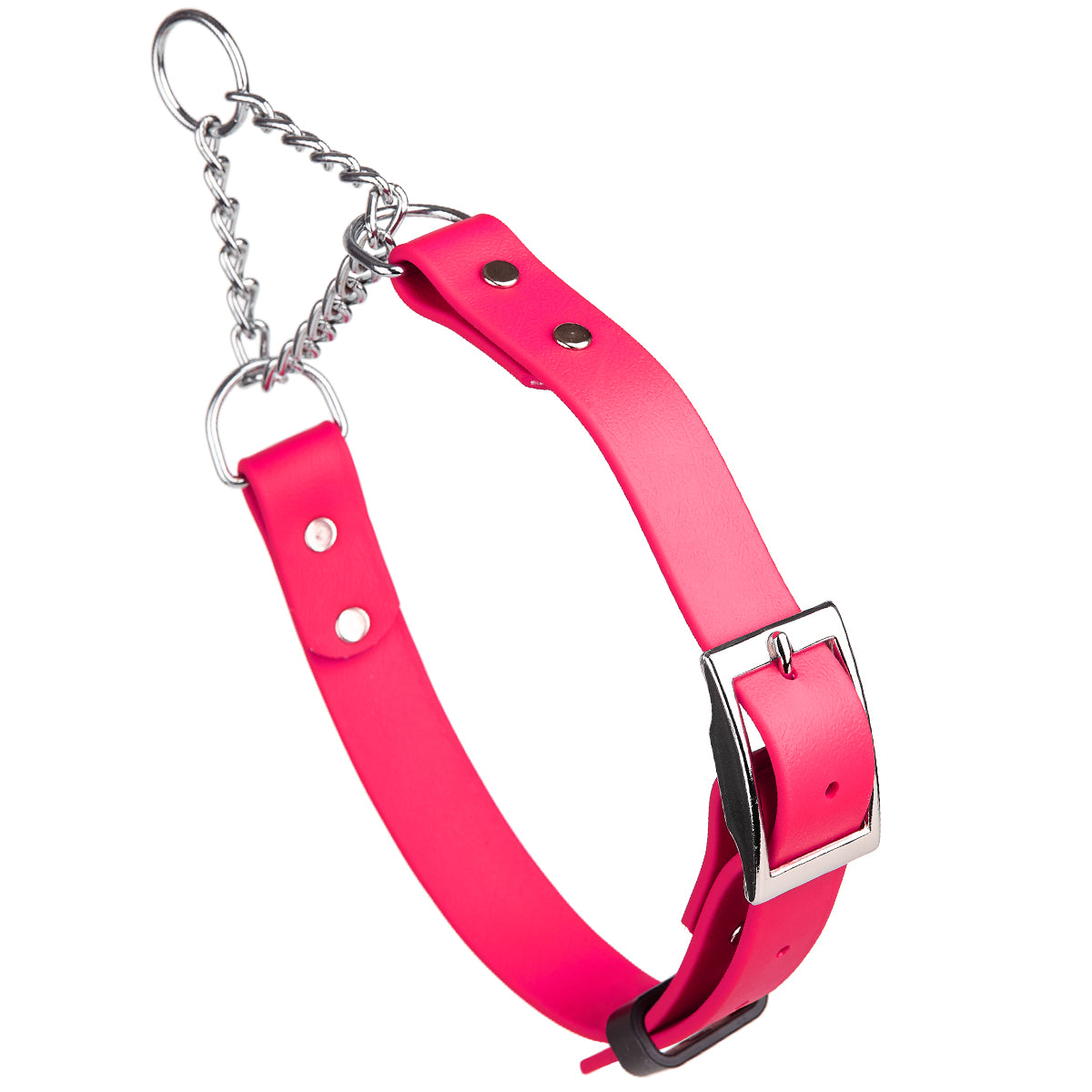 Biothane Adjustable Martingale Dog Collar with Metal Buckle