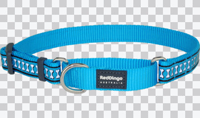 Martingale Dog Collars - Reflective
