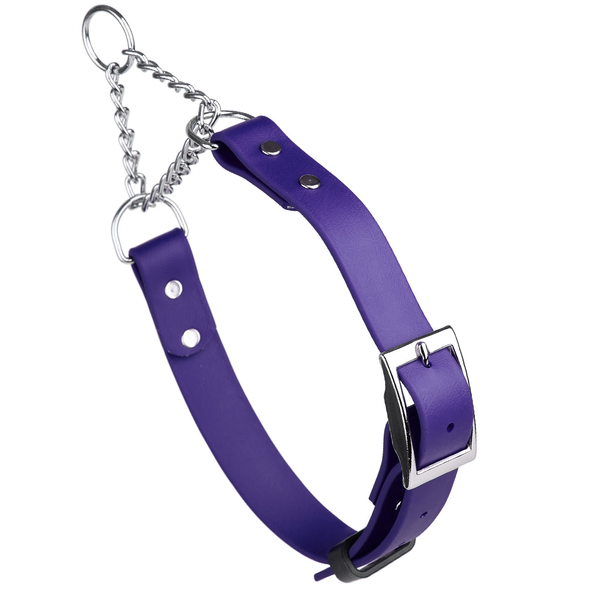 Biothane Adjustable Martingale Dog Collar with Metal Buckle