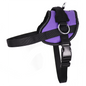 No Pull Harness - Solid - Lavender