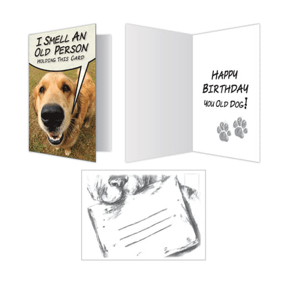 Birthday Cards (Pack of 6)
