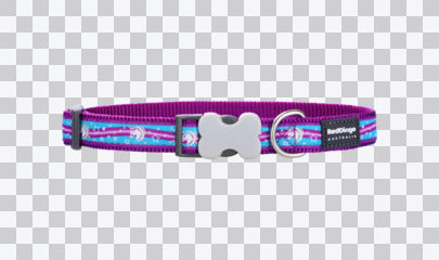 Buckle Bone Dog Collars - Design - Unicorn