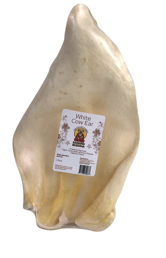 Barking Buddha - Ears