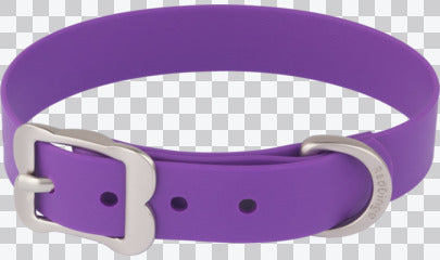 Vivid PVC Dog Collar