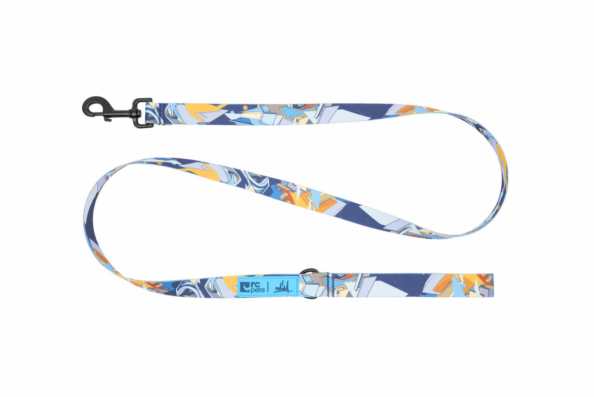 RC Pet Products Artist Series Leash - Daim D1
