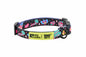 RC Pet Products Artist Series Collar - Persue BK1