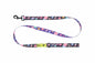 RC Pet Products Artist Series Leash - Persue BK1