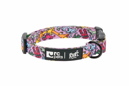 RC Pet Products Artist Series Collar - Runt R1