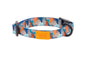 RC Pet Products Eco Breakaway Cat Collar - Riptide