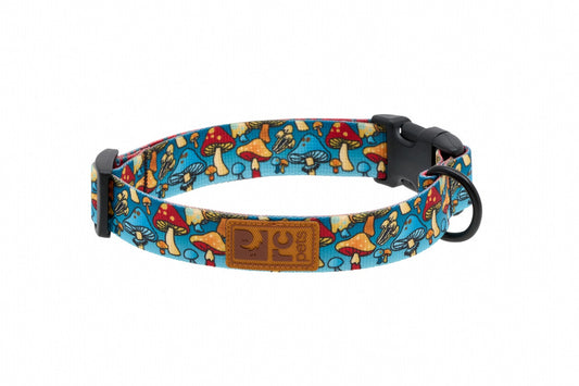 RC Pet Products Eco Collar - Funky Fungi