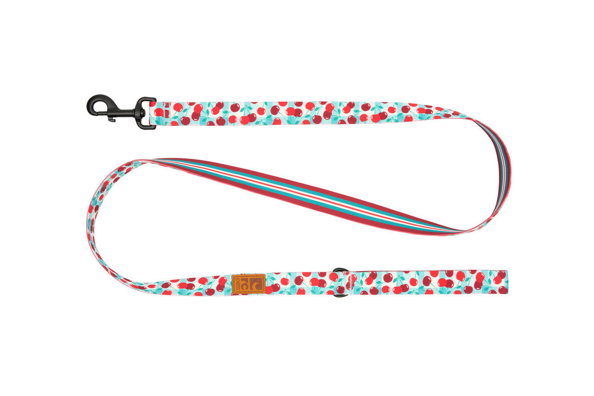 RC Pet Products Eco Leash - Cherry Picnic