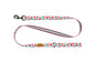 RC Pet Products Eco Leash - Cherry Picnic