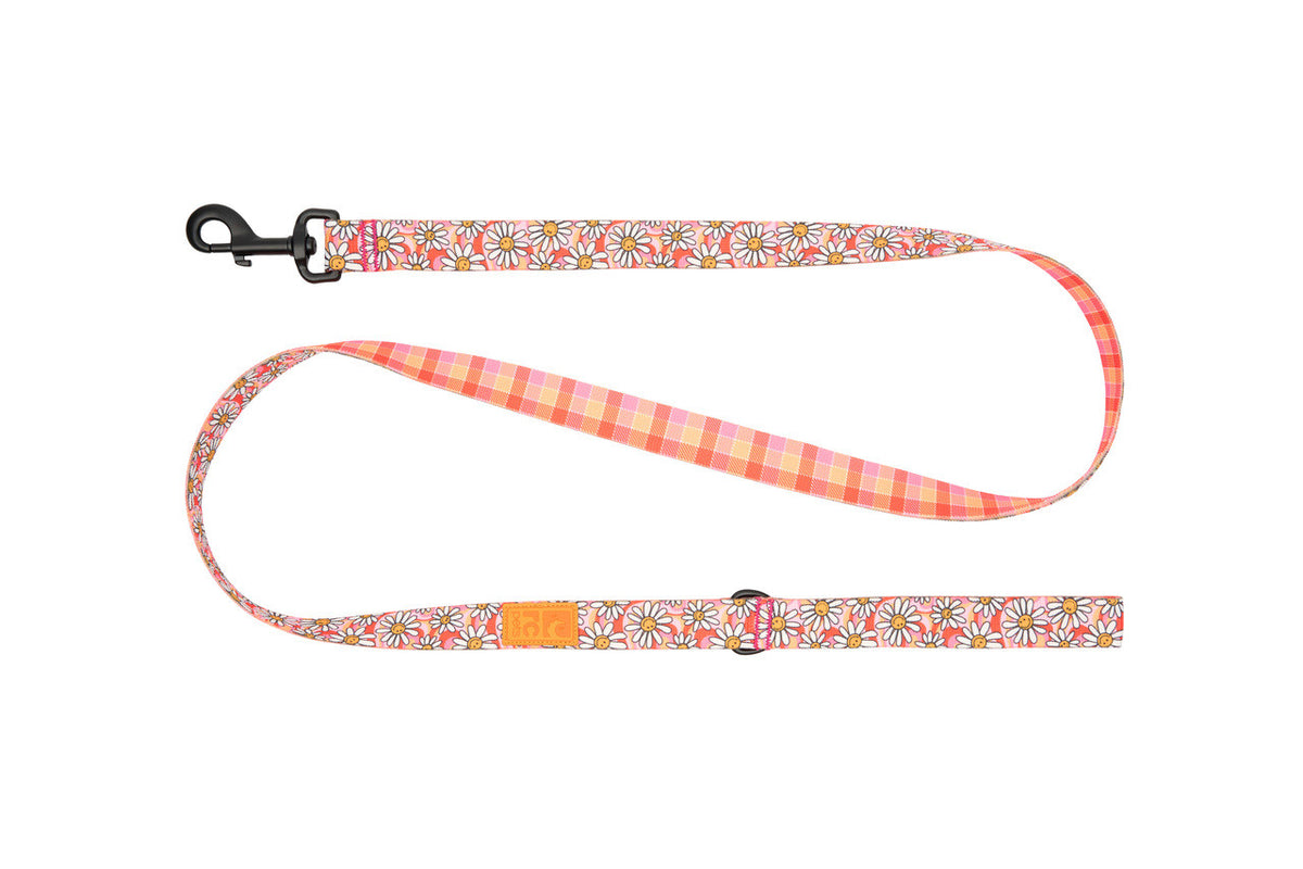RC Pet Products Eco Leash - Daisy Joy