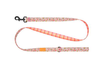 RC Pet Products Eco Leash - Daisy Joy