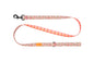 RC Pet Products Eco Leash - Daisy Joy