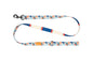 RC Pet Products Eco Leash - Riptide