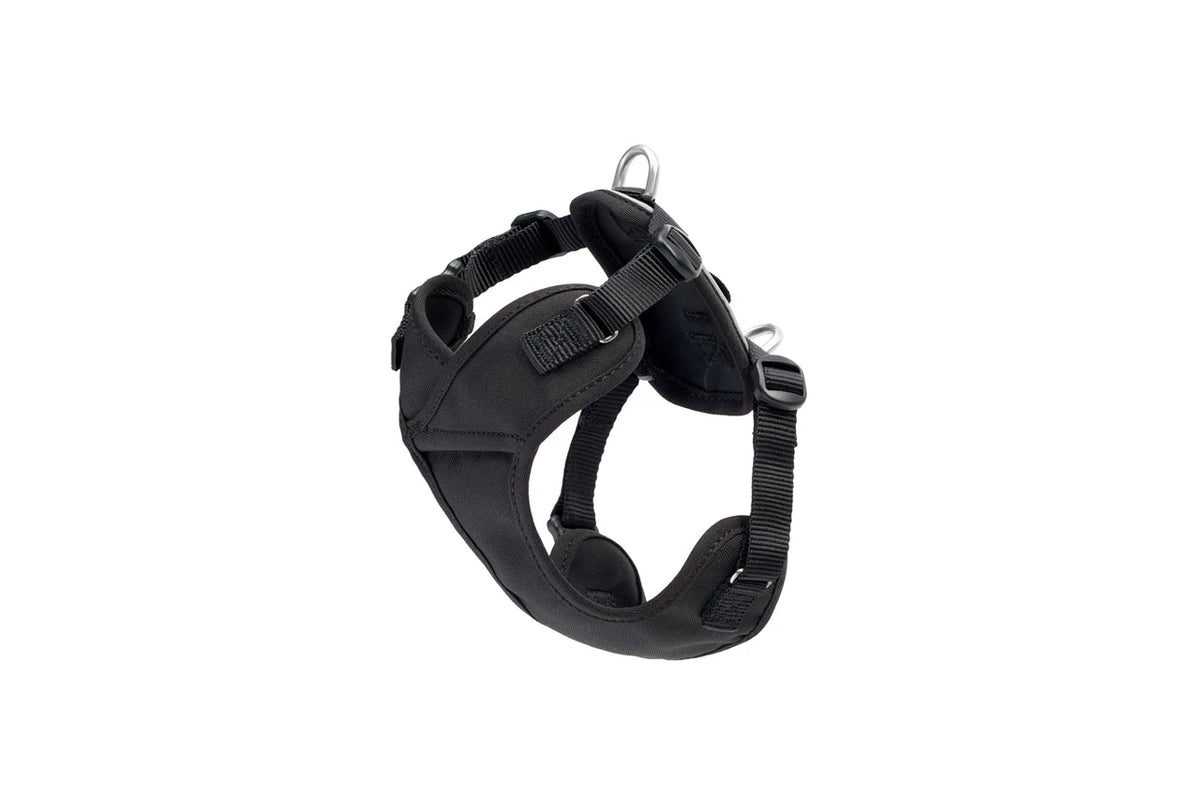 RC Pet Products Petite Explorer Harness - Black