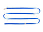 RC Pet Products Primary Kitty Leash - Royal Blue