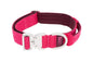 RC Pet Products Stratus Collar - Azalea